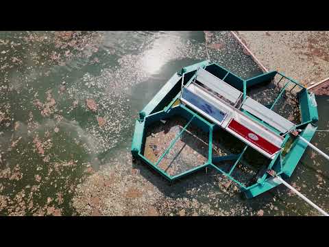 People, Places & Events - Clean-up mission together with everwave in Italy