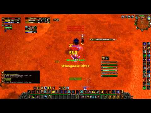 WoW Classic: Survial Hunter VS Rogue