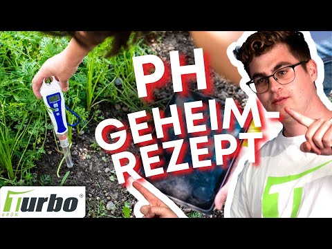 Rasenkalk zum Saisonstart?🌱 | Warum der Rasen jetzt Rasenkalk braucht | Turbogrün