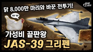 가성비 끝판왕 "JAS-39 그리펜" / 닭 8,000만 마리와 바꾼 그 전투기! [지식스토리]