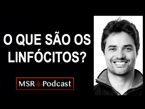 ⚔️🛡️ O que são os linfócitos? Aula 5