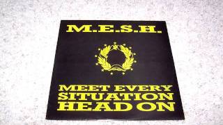 MESH- Meet Every Situation Head On (LSD NAG Mix) UK Single