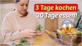 3 Tage kochen & 30 Tage stressfrei essen 😱 Freezer Meals XXL Vorbereitung Teil 1 | Big Mary