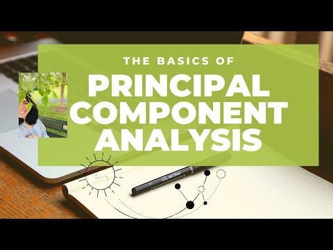 Principal Component Analysis | PCA Basics and Implementation.