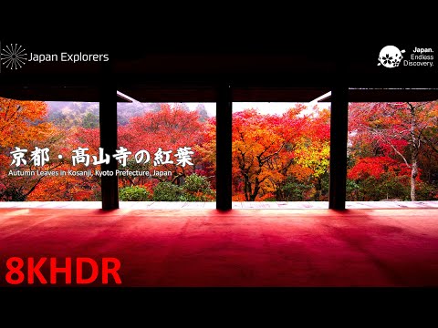 京都・高山寺の紅葉 8KHDR