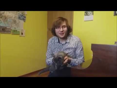 Krzysztof Książek : Je reviendrai à Montréal | CMIM