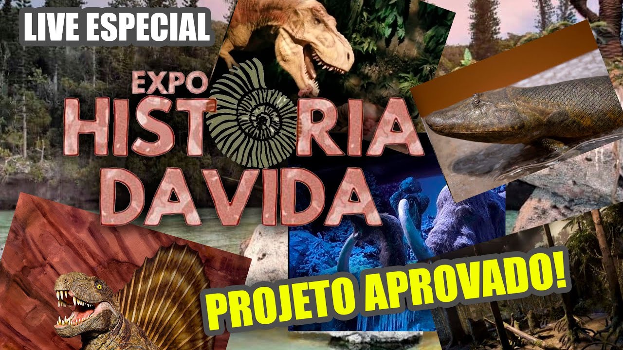 EXPOSIÇÃO HISTÓRIA DA VIDA - PRECISAMOS DA SUA AJUDA!!