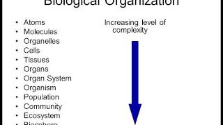 Biology 1010 Lecture 1 Intro to Biology