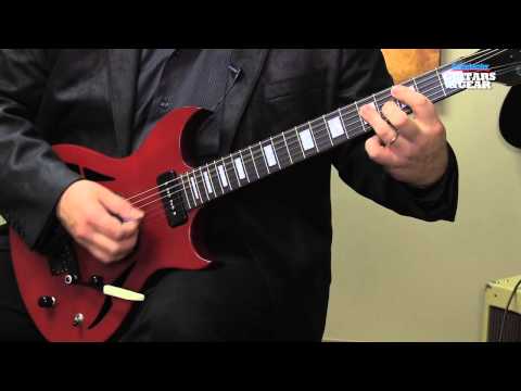 Gibson N-225, one of the coolest, multi-tonal Nighthawk guitars ever made by Gibson image 7