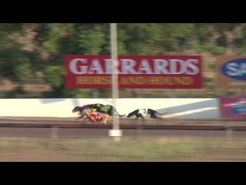 Darwin-11062017-race-2