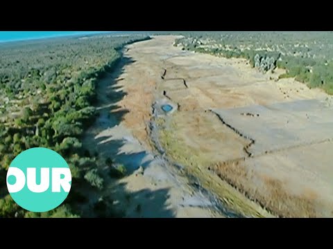The Lake That Completely Disappeared In Botswana | Our World