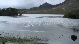 Yo te Canto    Alberto Plaza