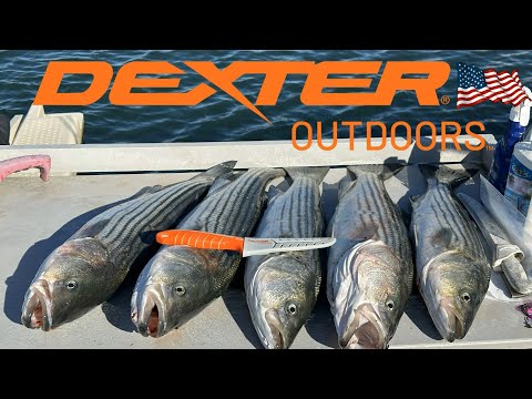 How To Make Striped Bass Steaks - Cooking - Dexter Outdoors
