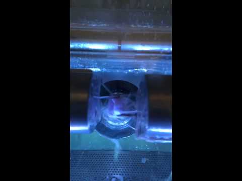 Milling of Dental Crowns- Machine Time-lapse