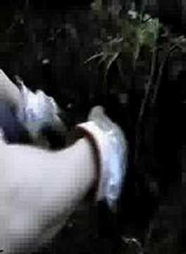 Initial Digging of the "Apollo Dump" Part 1