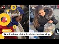 Veel mensen nemen hun huisdier mee op de vlucht uit Oekraïne