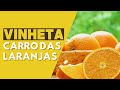 Carro Das Laranjas Vinhetas Das Laranjas