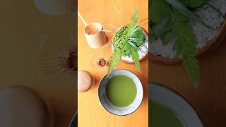抹茶茶碗で作る雑草寄せ植え #gardening #園芸
