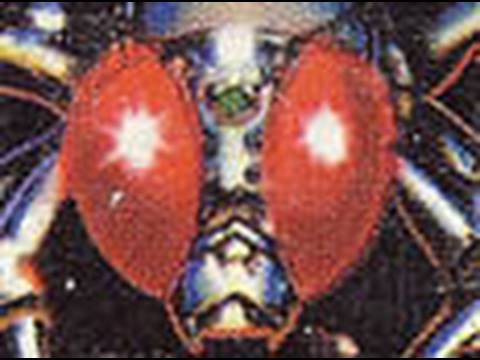 yars revenge game boy color