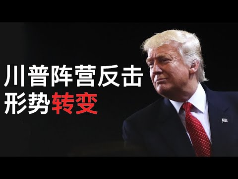 , title : '川普阵营全面反击, 形势出现转变(字幕)/Trump Camp Began to Change the Situation/王剑每日观察/20201110'