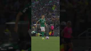 🐷 OS GOLS DA VITÓRIA DO PALMEIRAS CONTRA O SÃO PAULO 💚