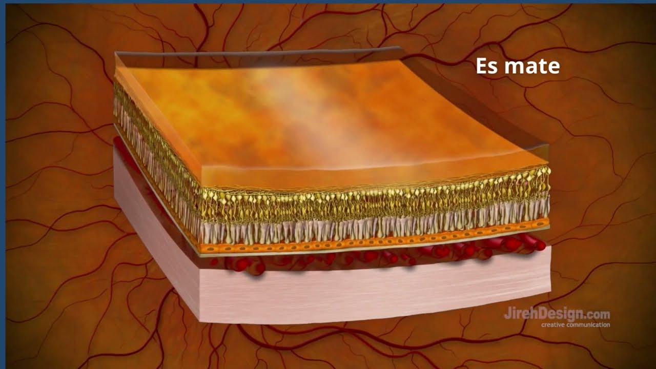 Jorge Guevara Chipolini-16