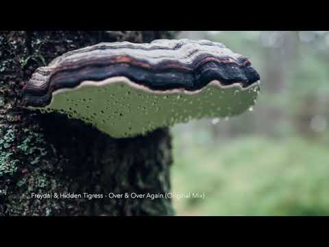 Freydal & Hidden Tigress - Over & Over Again (Original Mix)