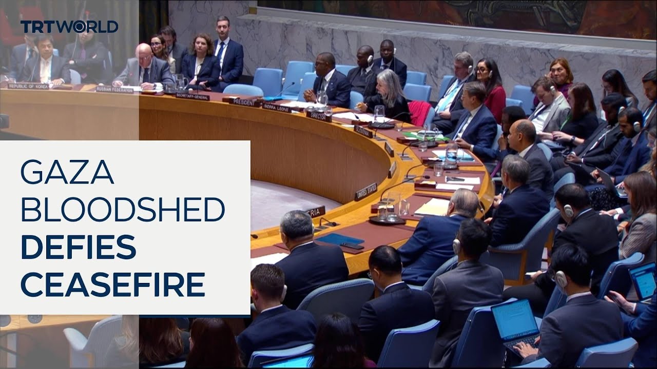 Israeli NGO: Gaza genocide continues despite UN-backed deal