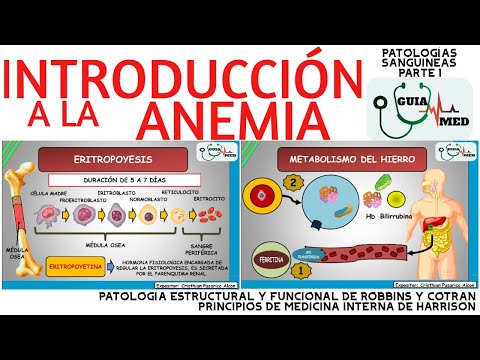 INTRODUCCIÓN A LA ANEMIA | GuiaMed