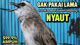 Download lagu Trucukan Gacor Ngalas Tarung Ropel Paling Ampuh Untuk Pancingan Trucukan Agar Bunyi Nyaut Gacor mp3 Download lagu Trucukan Gacor Ngalas Tarung Ropel Paling Ampuh Untuk Pancingan Trucukan Agar Bunyi Nyaut Gacor mp3