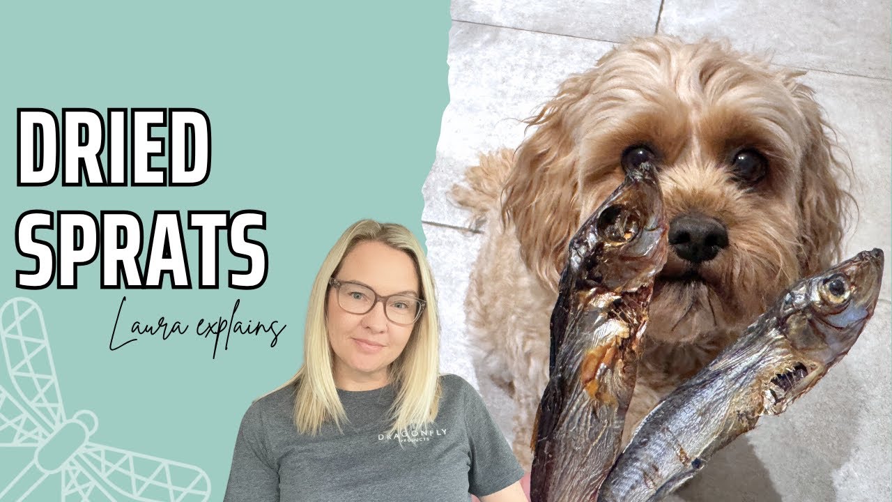 The Benefits of Dried Sprats for Dogs | Video