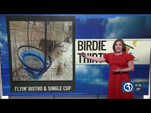 BIRDIE THIRTY: Flyin' Bistro & WBU Single Cup Feeder - EWN at 6:30am on 2-9-2025