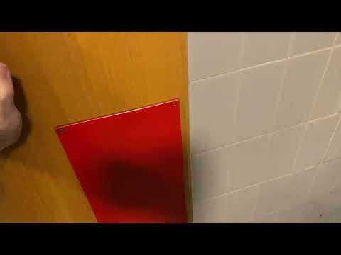 One Creaky And Squeaky Door