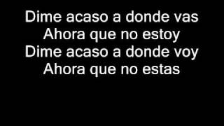 Que vuelvas - shakira (con letra)