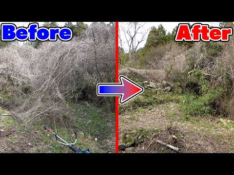 【山復興第2弾#74】大量のツタを取り除くとスペースがかなり広がった！