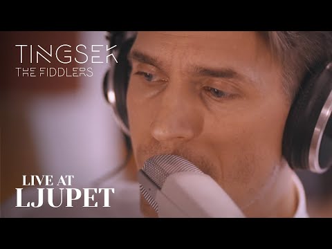 Tingsek - The Fiddlers - Live at Ljupet