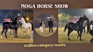 Download lagu Moga Horse Show Results (Stallion Category) mp3 Download lagu Moga Horse Show Results (Stallion Category) mp3