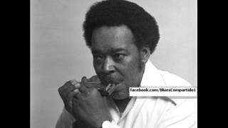 James Cotton - Avila Beach Resort Avila Beach, CA 1st Annual Avila Beach Blues Festival. 1994