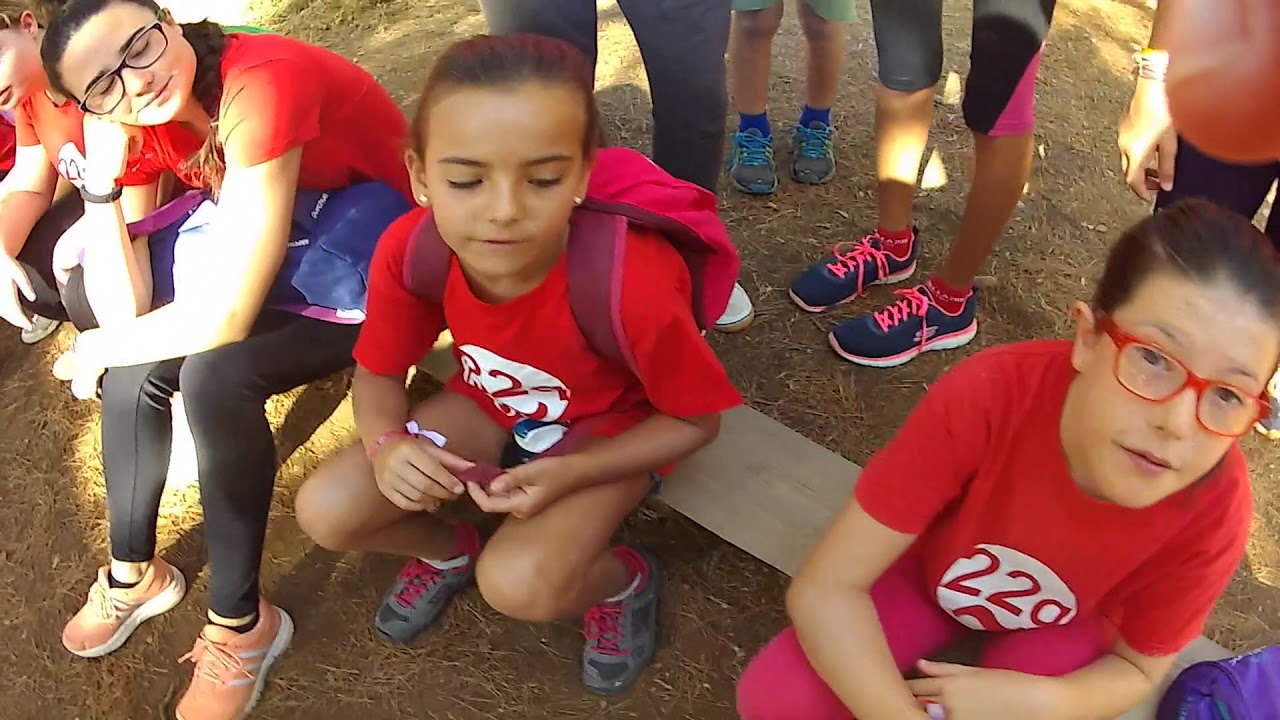 CAMPAMENTO INCLUSIVO 22Q ANDALUCÍA 2017