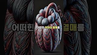 능력은 공개되었으나 이름 없는 악마의 열매