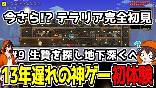 【ガチ初見】生贄を探しに地下深く溶岩世界を探索するぞ #9 【Twitch同時配信】