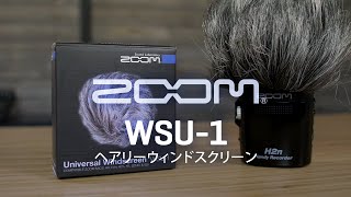 Video thumbnail for 別売アクセサリ：ヘアリーウィンドスクリーン『WSU-1』 by ZOOMcorporation