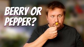 Berry Amarillo Pepper Review: A Sweet & Spicy Aji Variety