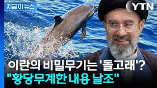 이란이 꺼낸 최종병기 '돌고래'?..."근거 없는 날조" [지금이뉴스] / YTN