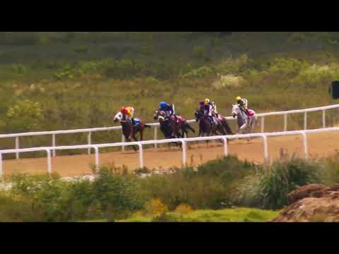 MAIGURU - RACE 2 #fairview 18-11-2022