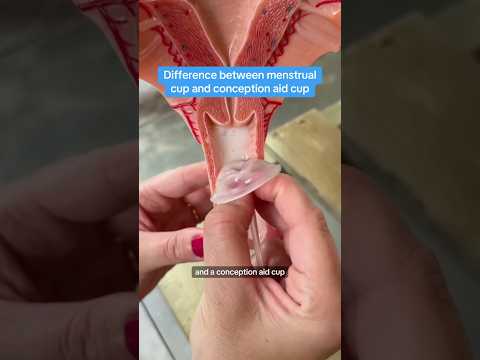 One of these things is not like the other 🕵️‍♀️