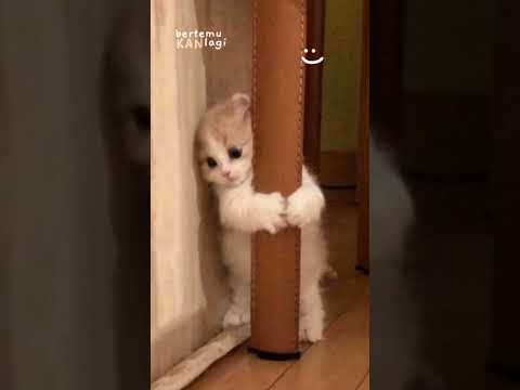 #trending #konten :(