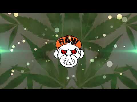 HARDSTYLE 2022 🔈 Vespillo - Reefer  [MONKEY TEMPO]