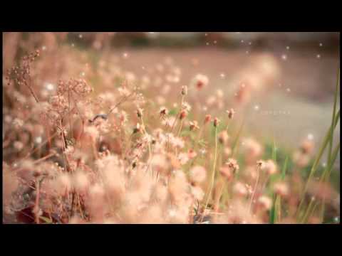 وقفت حروفي محمد المقيط