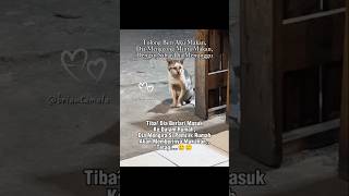 Download lagu He said, 'Can I have something to eat?' mp3 Download lagu He said, 'Can I have something to eat?' mp3